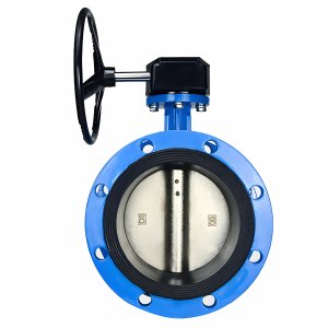 法蘭式蝸輪蝸桿蝶閥DN40，1.6Mpa（橡膠密封